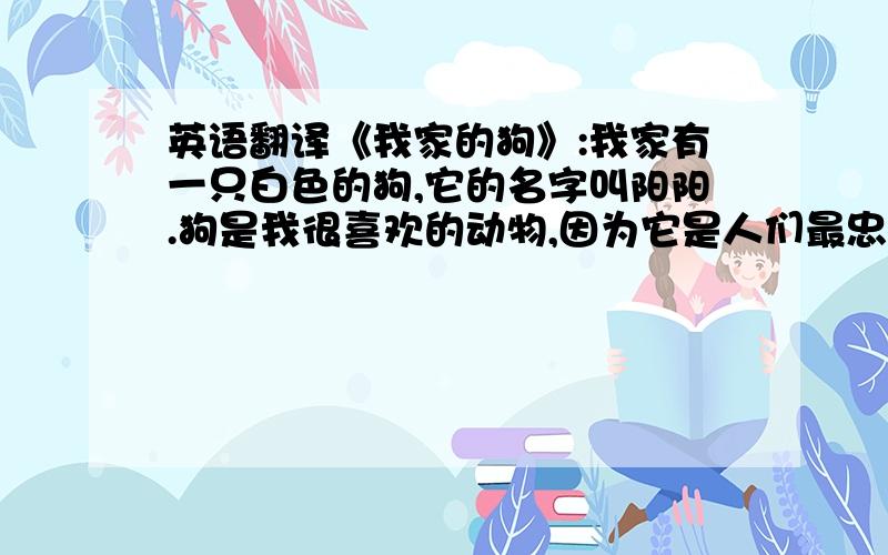 英语翻译《我家的狗》:我家有一只白色的狗,它的名字叫阳阳.狗是我很喜欢的动物,因为它是人们最忠实的朋友.我家的阳阳还不到一岁,有一身雪白的长毛,非常可爱,如果你看见它,一定会喜欢