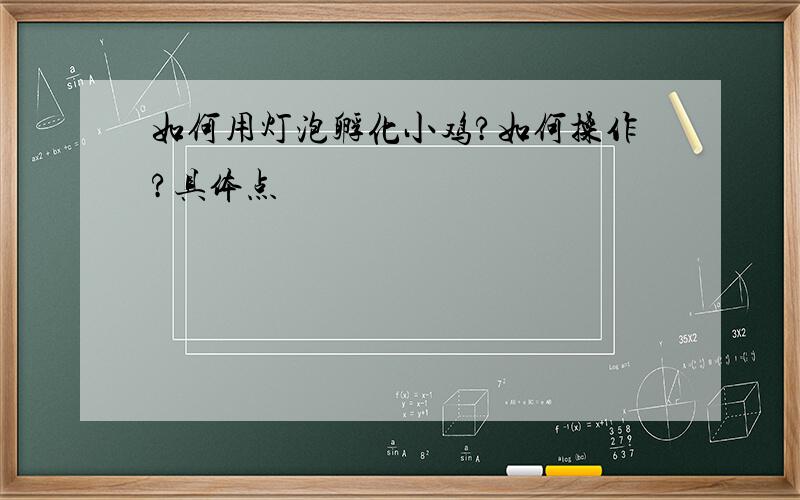 如何用灯泡孵化小鸡?如何操作?具体点