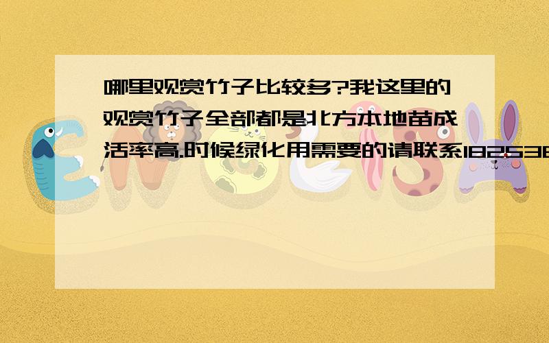 哪里观赏竹子比较多?我这里的观赏竹子全部都是北方本地苗成活率高.时候绿化用需要的请联系18253679678