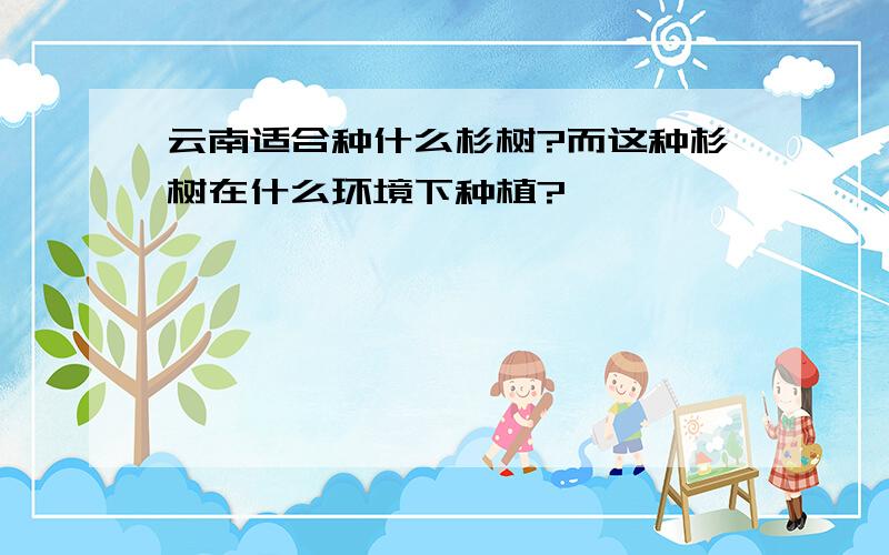 云南适合种什么杉树?而这种杉树在什么环境下种植?