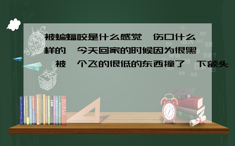 被蝙蝠咬是什么感觉,伤口什么样的,今天回家的时候因为很黑,被一个飞的很低的东西撞了一下额头,掉在地上然后又飞走了,像蝙蝠,有没有事啊,在撞击的过程中它会咬我吗?被蝙蝠咬的伤口是