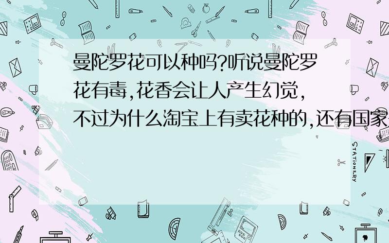 曼陀罗花可以种吗?听说曼陀罗花有毒,花香会让人产生幻觉,不过为什么淘宝上有卖花种的,还有国家是不限制家庭种植曼陀罗花吧.花香不会让人产生幻觉然后中毒吗?