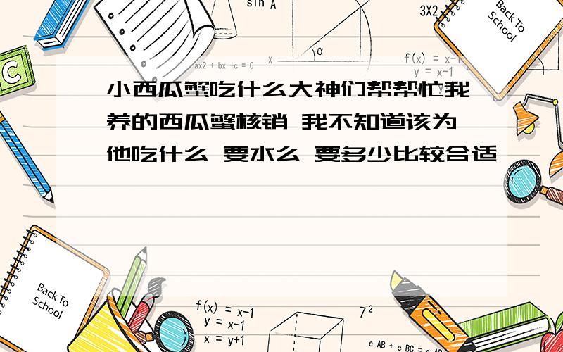 小西瓜蟹吃什么大神们帮帮忙我养的西瓜蟹核销 我不知道该为他吃什么 要水么 要多少比较合适