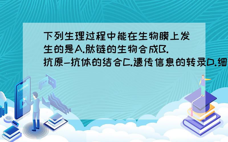 下列生理过程中能在生物膜上发生的是A.肽链的生物合成B.抗原-抗体的结合C.遗传信息的转录D.细胞中ATP的生成.