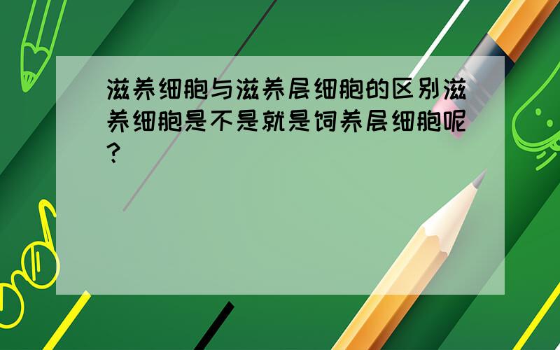 滋养细胞与滋养层细胞的区别滋养细胞是不是就是饲养层细胞呢？