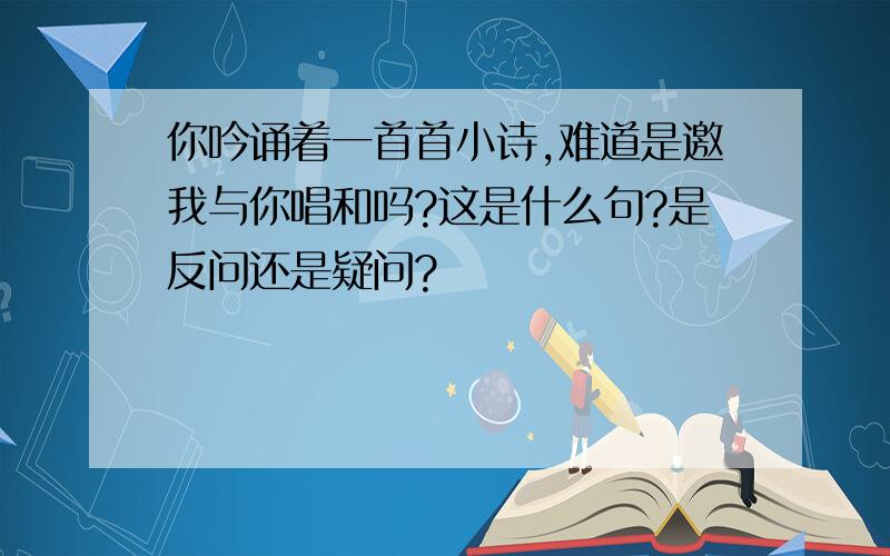 你吟诵着一首首小诗,难道是邀我与你唱和吗?这是什么句?是反问还是疑问?