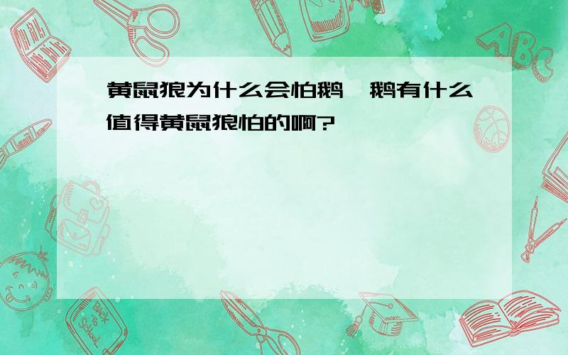 黄鼠狼为什么会怕鹅,鹅有什么值得黄鼠狼怕的啊?