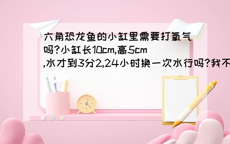 六角恐龙鱼的小缸里需要打氧气吗?小缸长10cm,高5cm,水才到3分2,24小时换一次水行吗?我不想让它死呀,它很能吃么?