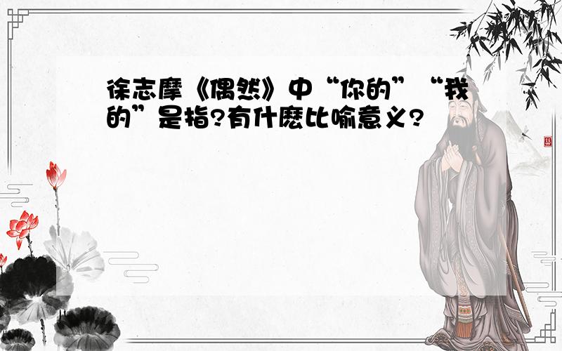 徐志摩《偶然》中“你的”“我的”是指?有什麽比喻意义?