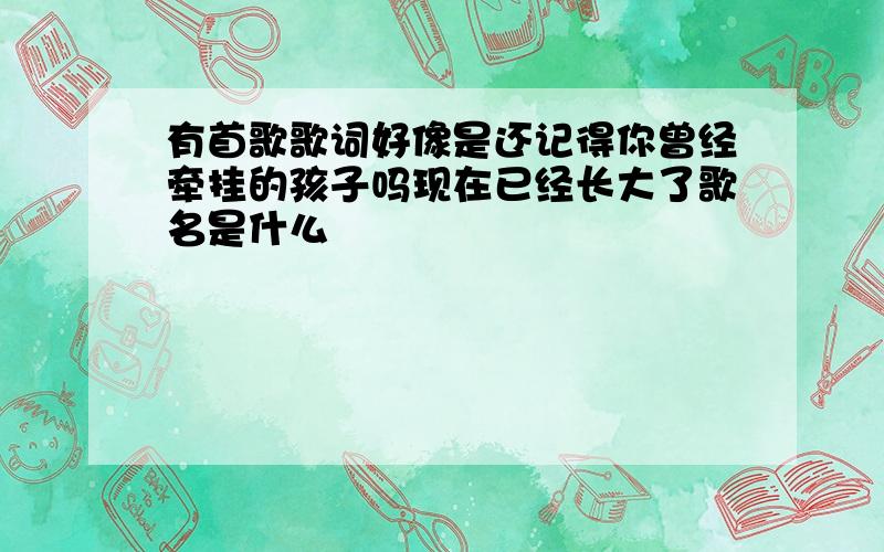 有首歌歌词好像是还记得你曾经牵挂的孩子吗现在已经长大了歌名是什么