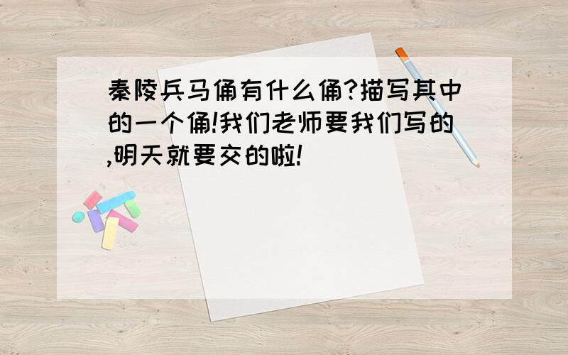 秦陵兵马俑有什么俑?描写其中的一个俑!我们老师要我们写的,明天就要交的啦!