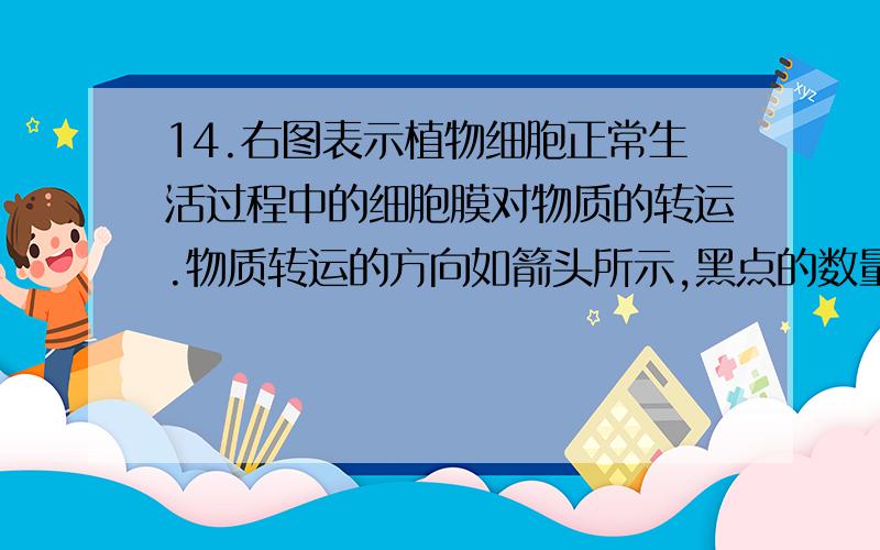 14.右图表示植物细胞正常生活过程中的细胞膜对物质的转运.物质转运的方向如箭头所示,黑点的数量表示物质的浓度,则该物质可能是（ ）A．叶绿素 B．花青素C．生长素 D．尿素