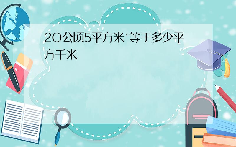 2O公顷5平方米'等于多少平方千米