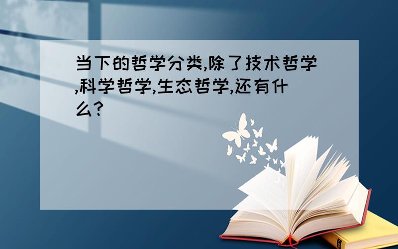 当下的哲学分类,除了技术哲学,科学哲学,生态哲学,还有什么?