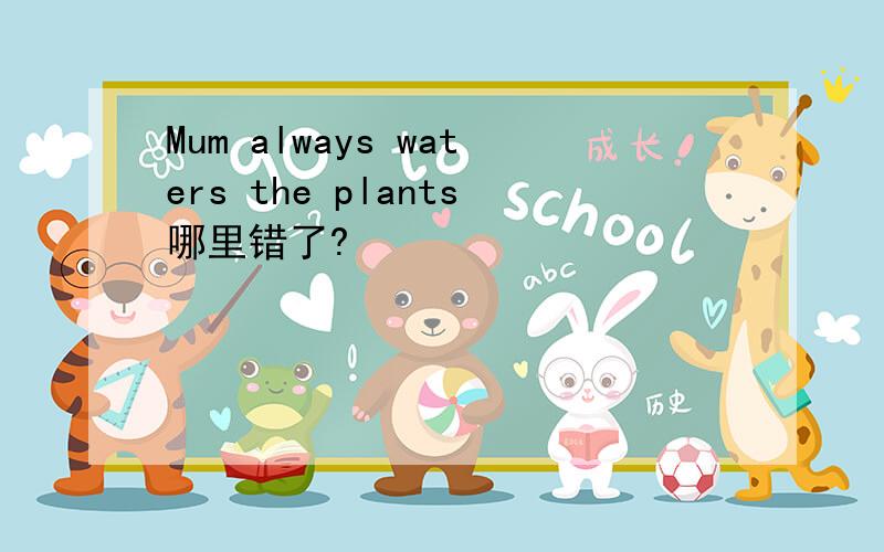 Mum always waters the plants哪里错了?