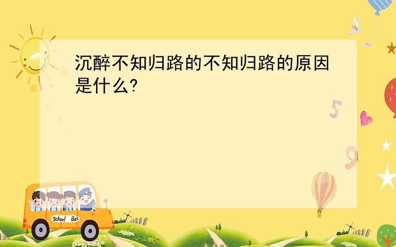 沉醉不知归路的不知归路的原因是什么?