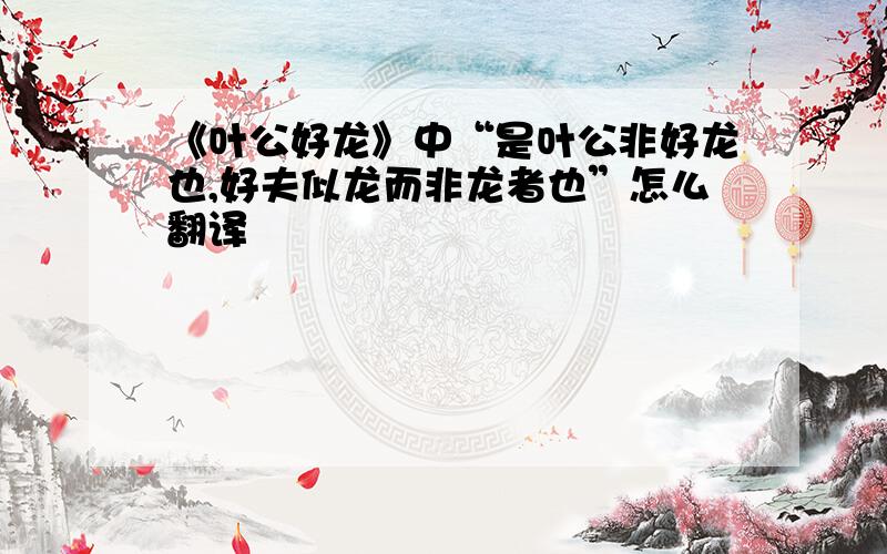 《叶公好龙》中“是叶公非好龙也,好夫似龙而非龙者也”怎么翻译