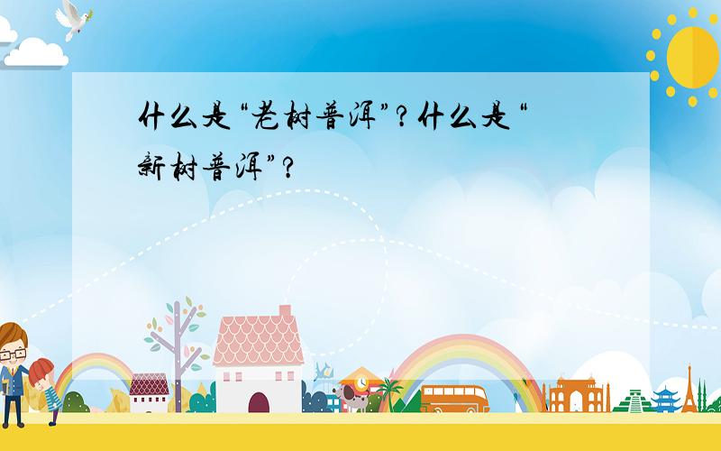 什么是“老树普洱”?什么是“新树普洱”?