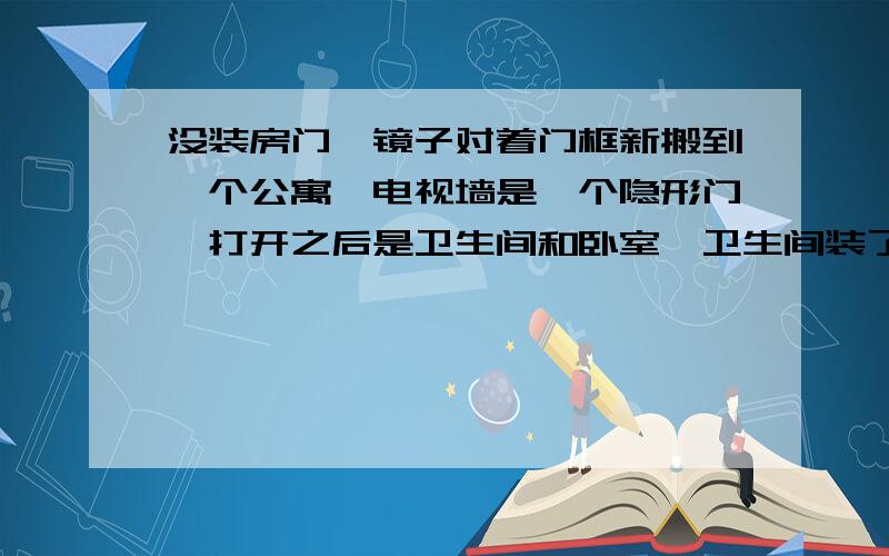 没装房门,镜子对着门框新搬到一个公寓,电视墙是一个隐形门,打开之后是卫生间和卧室,卫生间装了一个整面的推拉门,但是房间没有装门,然后洗脸盆和镜子就正对着门框.如图,灰色的是窗户,