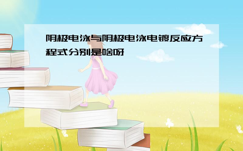 阴极电泳与阴极电泳电镀反应方程式分别是啥呀