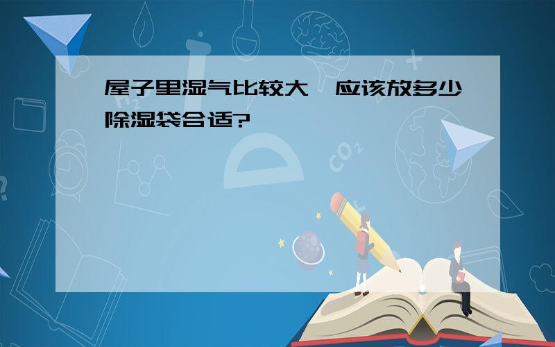 屋子里湿气比较大,应该放多少除湿袋合适?