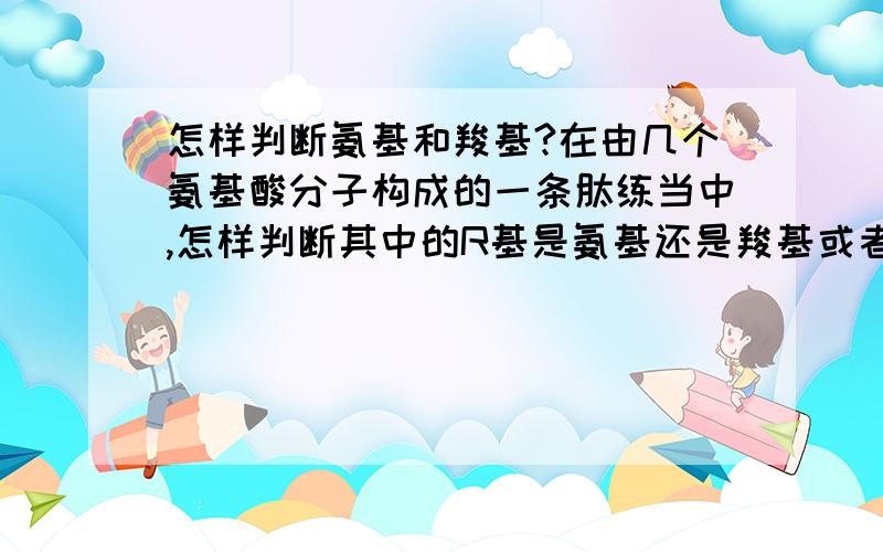 怎样判断氨基和羧基?在由几个氨基酸分子构成的一条肽练当中,怎样判断其中的R基是氨基还是羧基或者两样都不是?例如R基：N(H2) ｜ C＝O ｜ C(H2)是氨基还是羧基？是怎样判断出来的？希望你