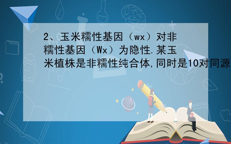 2、玉米糯性基因（wx）对非糯性基因（Wx）为隐性.某玉米植株是非糯性纯合体,同时是10对同源染色体的三体.使用该三体植株与糯性纯合的正常玉米杂交,再用F1群体中的三体自交,在F2代出现175