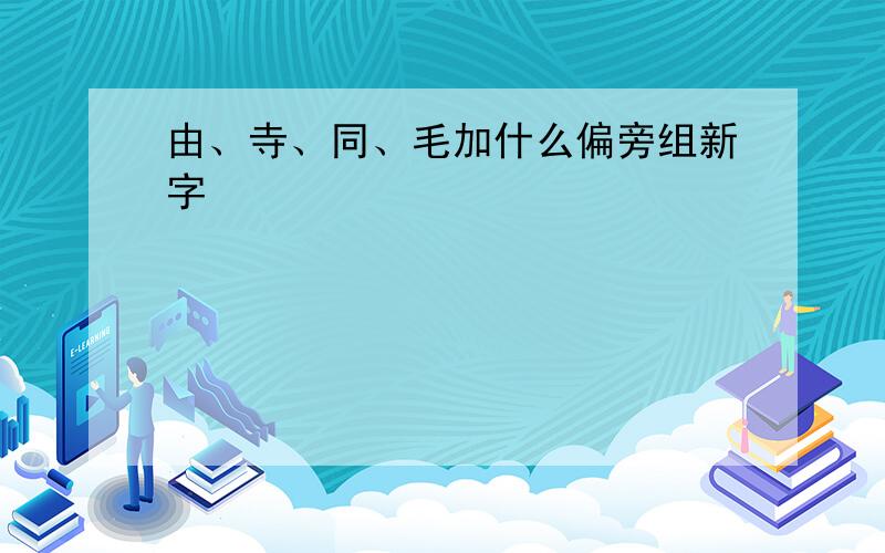 由、寺、同、毛加什么偏旁组新字