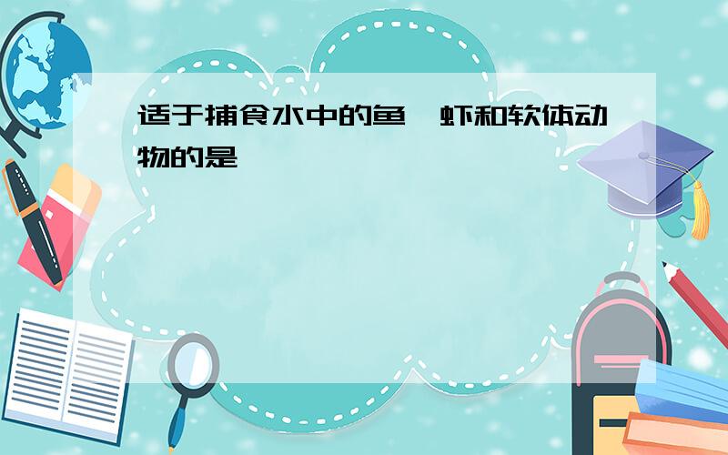 适于捕食水中的鱼、虾和软体动物的是