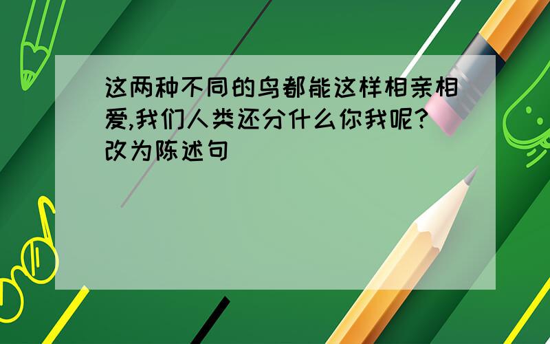 这两种不同的鸟都能这样相亲相爱,我们人类还分什么你我呢?改为陈述句