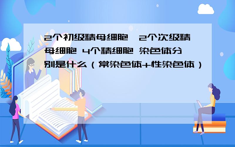 2个初级精母细胞,2个次级精母细胞 4个精细胞 染色体分别是什么（常染色体+性染色体）