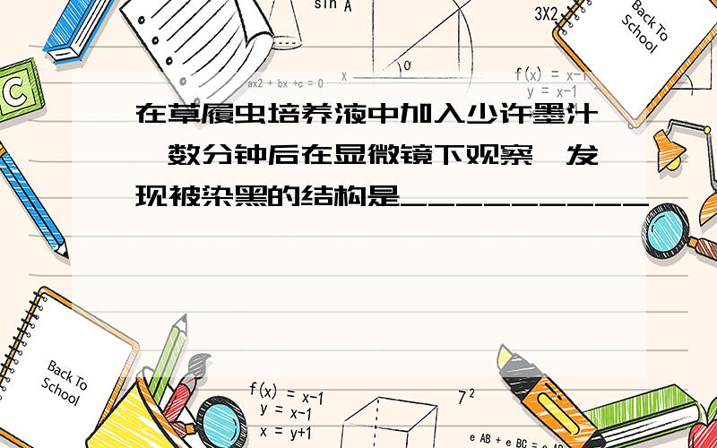 在草履虫培养液中加入少许墨汁,数分钟后在显微镜下观察,发现被染黑的结构是_________