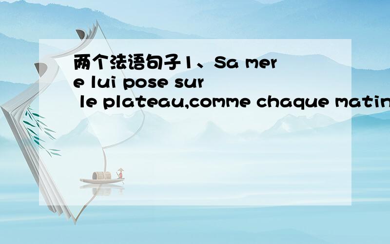 两个法语句子1、Sa mere lui pose sur le plateau,comme chaque matinnee un verre de lait en fumant.2、Sa mere lui pose sur le plateau,comme chaque matinnee un verre de lait qui fume.这两句表达的意思一样吗?