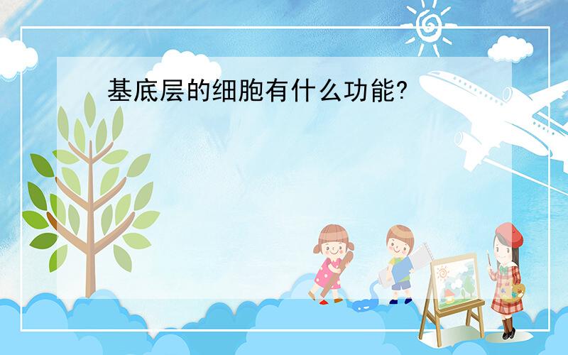 基底层的细胞有什么功能?