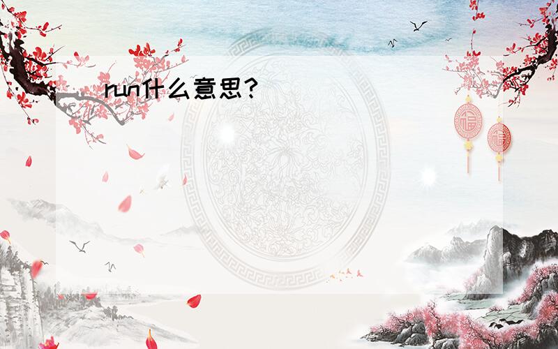 run什么意思?