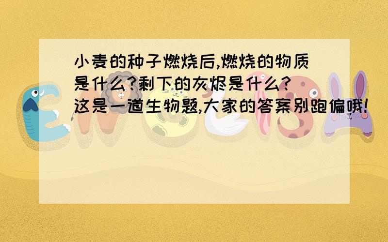 小麦的种子燃烧后,燃烧的物质是什么?剩下的灰烬是什么? 这是一道生物题,大家的答案别跑偏哦!