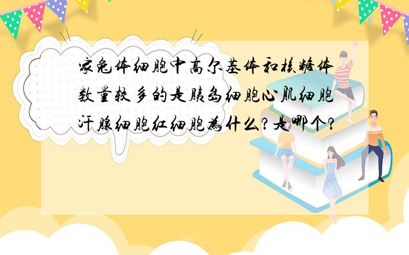 家兔体细胞中高尔基体和核糖体数量较多的是胰岛细胞心肌细胞汗腺细胞红细胞为什么?是哪个?