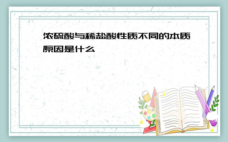 浓硫酸与稀盐酸性质不同的本质原因是什么