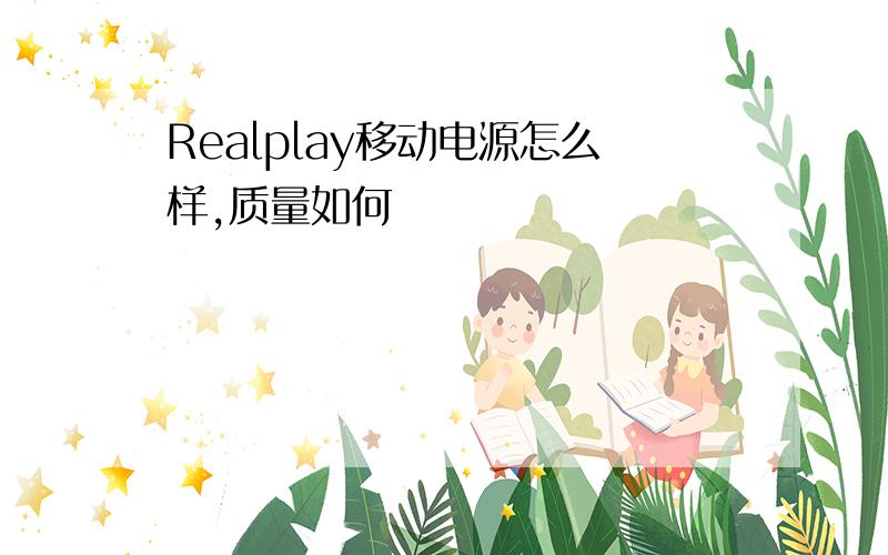 Realplay移动电源怎么样,质量如何