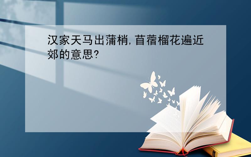 汉家天马出蒲梢,苜蓿榴花遍近郊的意思?