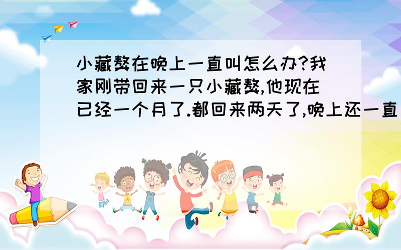 小藏獒在晚上一直叫怎么办?我家刚带回来一只小藏獒,他现在已经一个月了.都回来两天了,晚上还一直叫,怎么办?