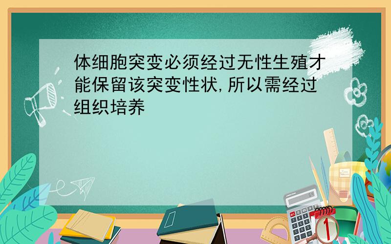 体细胞突变必须经过无性生殖才能保留该突变性状,所以需经过组织培养