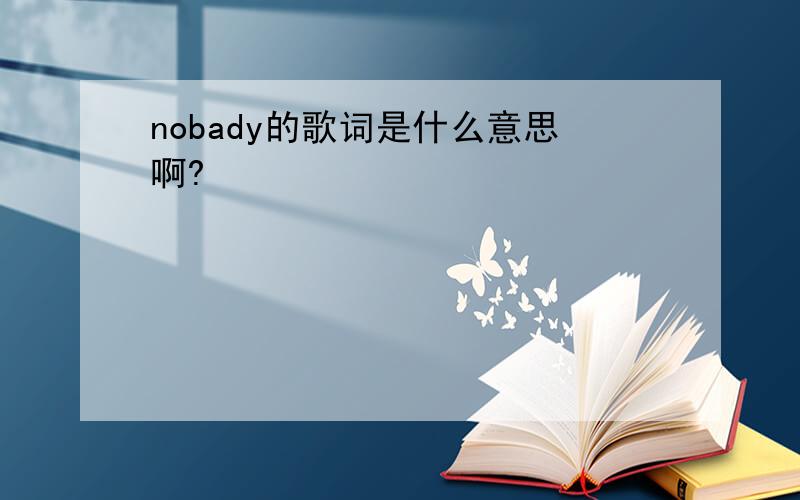 nobady的歌词是什么意思啊?