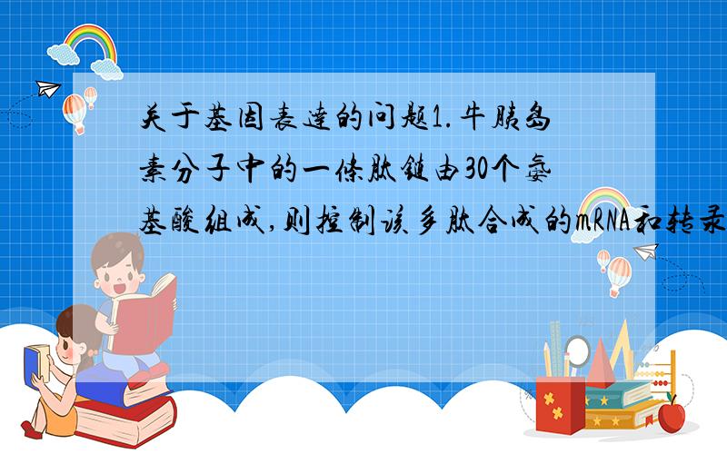 关于基因表达的问题1.牛胰岛素分子中的一条肽链由30个氨基酸组成,则控制该多肽合成的mRNA和转录mRNA的基因中的碱基最少个数分别是a.30和30 b.60和60 c.90和180 d.90和902.右面为DNA转录过程的一段