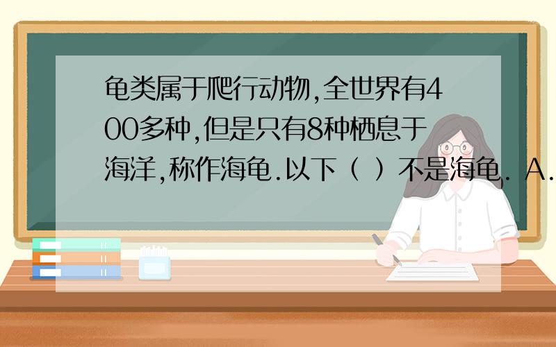 龟类属于爬行动物,全世界有400多种,但是只有8种栖息于海洋,称作海龟.以下（ ）不是海龟. A.玳瑁 B.绿