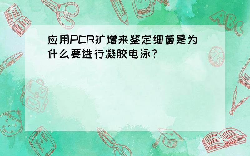 应用PCR扩增来鉴定细菌是为什么要进行凝胶电泳?