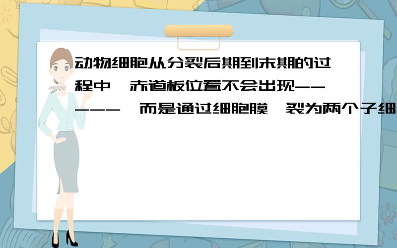 动物细胞从分裂后期到末期的过程中,赤道板位置不会出现-----,而是通过细胞膜缢裂为两个子细胞?