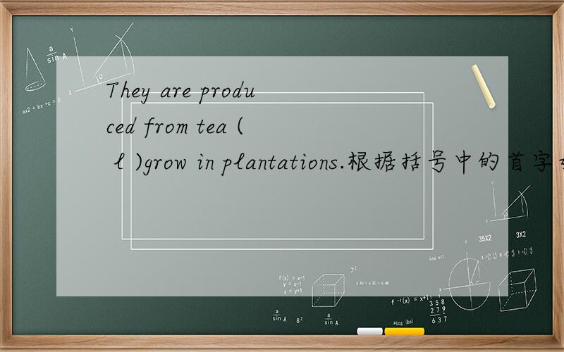 They are produced from tea ( l )grow in plantations.根据括号中的首字母填空