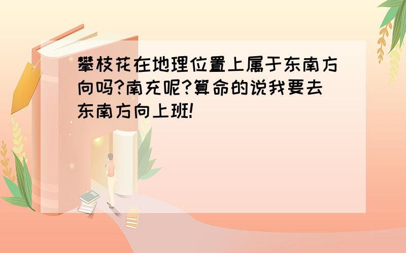 攀枝花在地理位置上属于东南方向吗?南充呢?算命的说我要去东南方向上班!