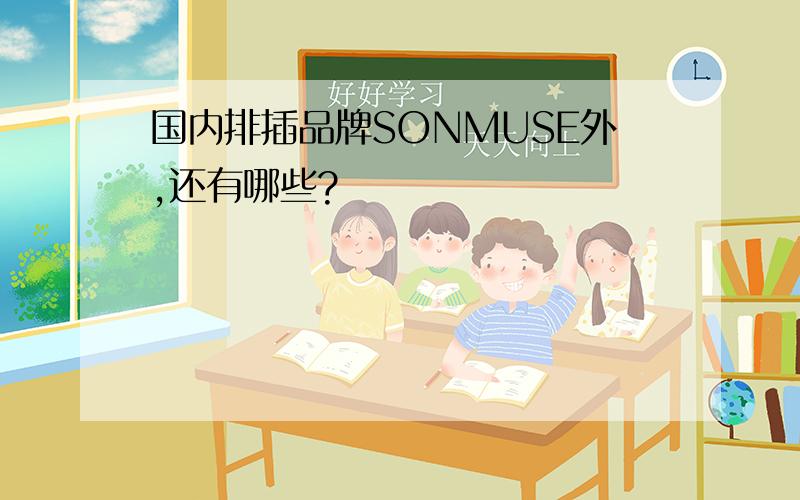 国内排插品牌SONMUSE外,还有哪些?